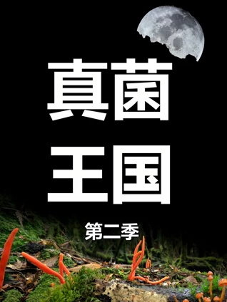 真菌王国2